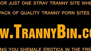 In a dimly lit room, the latin shemale adorned with tattoos and crossdressing attire embarks on a solo masturbation journey. She explores her body with increasing passion, building towards an intense climax.