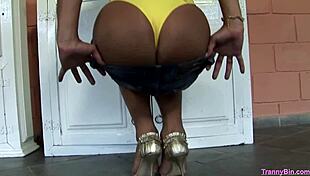 In a dimly lit room, the latin shemale adorned with tattoos and crossdressing attire embarks on a solo masturbation journey. She explores her body with increasing passion, building towards an intense climax.