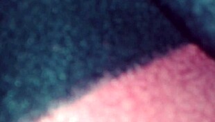 i spied on my cute neighbor getting fucked