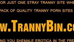 In a dimly lit room, the latin shemale adorned with tattoos and crossdressing attire embarks on a solo masturbation journey. She explores her body with increasing passion, building towards an intense climax.