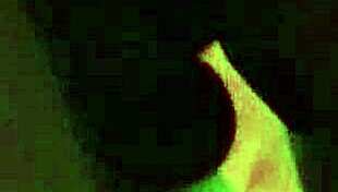 homemade one night stand, how did it go with the amateurs?