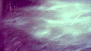 Blowjob session turns wild at local massage parlor