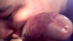 Tasty blowjob from amateur delights in contrasting pleasure