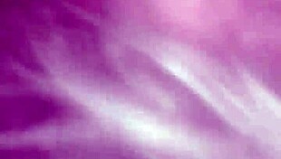 Blowjob session turns wild at local massage parlor