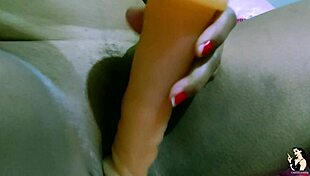 suellen santos immigrant story