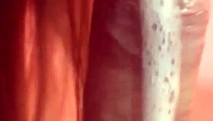 Enjoying A Homemade Intimate Moment