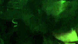 Watch these femdoms dominate with facesitting and blowjobs in cosplay threesome!