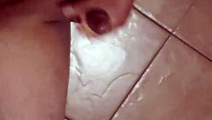 Lechita's Latina Adventures