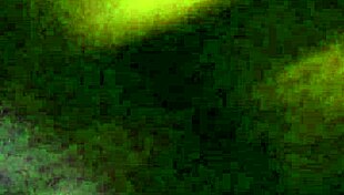 I deepthroat that Latina cock like a throat baby, feeling every inch.