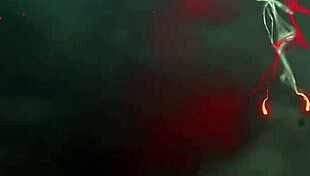 reluctant bianca feels seduced by lesbian braylin bailey's passionate touches