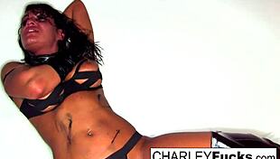 Charley Chase Begs For Attention