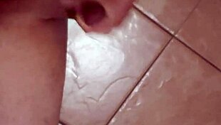 Lechita's Latina Adventures