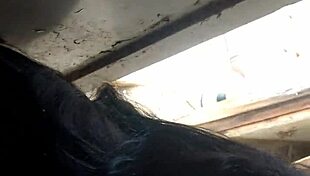 Allyson Serrano And Billy Preston - Allyson Swallows Billys Hard Cock