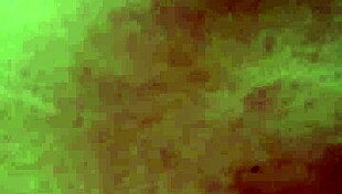 fucking that short mature girl, you think she's ready for more?