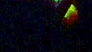 Ebony Woman Handles Monster Cock And Keeps Going