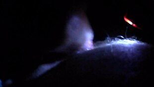 Ebony Girl Sucks Cock And Licks Ass In Detailed Black Scene