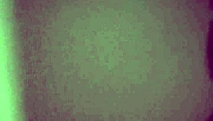 she grabs the dildo and toys with her cock