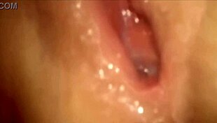 Milf Frina Bends Over For Hardcore Doggy Fuck