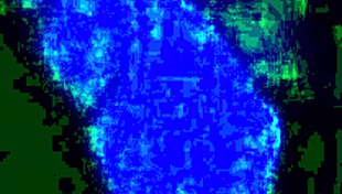 My school buddy's wild side shocked me! She's all about that huge cock.