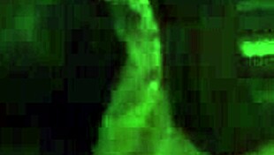 dede bends over for cheating doggystyle blowjob cumshot