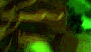 Amateur handjob from my fiance 😏💦