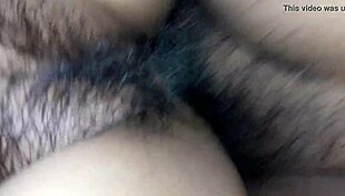 b explores shemale themes