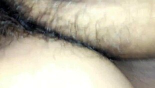 b explores shemale themes