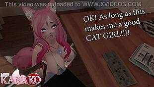 Catgirl Bounces And Begs