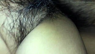 b explores shemale themes