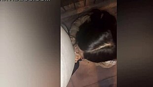 Latina babe sucks cock in public park while walking her puppies. Outdoor blowjob with amateurs.