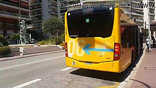 No Panties Flashing Butt Plug in Park and Supermarket