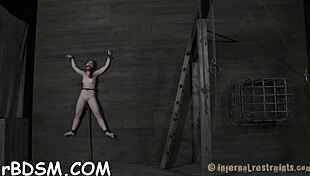 i make the babe surrendur with toys