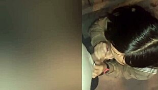 Latina babe sucks cock in public park while walking her puppies. Outdoor blowjob with amateurs.