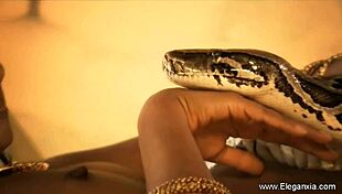 Dancing Sensual Exotic Display By Brunette Milf In Indian Solo