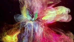 bastidores da boneca lesbica com sua esposa anna e nin binho ted