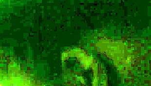 She narrated how she sucked on that monster cock, deepthroating the big black cock.