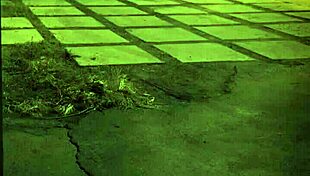 Mature rough dp punishes loser in garage