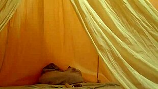 I Get Hot In My Room And Insert A Cock