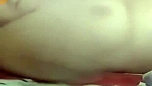 Coroa Madura Monte Alegre Webcam Interior Sp