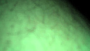 donna belle bends over for homemade doggystyle fun