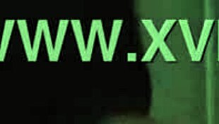 Intense Gloryhole Cock Sucking