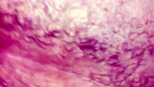 they opened my ass wide 😏