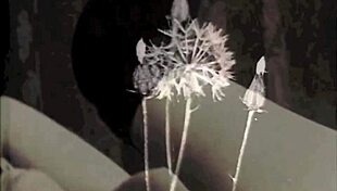 i'm bound in vintage london rope bondage