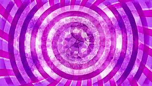 big cocks worshipped by sissies in blowjobs