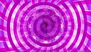 big cocks worshipped by sissies in blowjobs