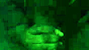 Ebony Slut Gives Wet Blowjob to Monster Cock from Ex.