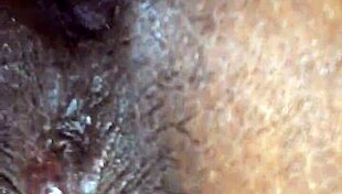 Indian Birch Sucking Dick Homemade