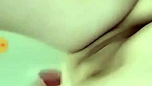 Coroa Madura Monte Alegre Webcam Interior Sp