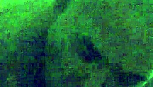 Fucking My Cousin In A Hotel Room!