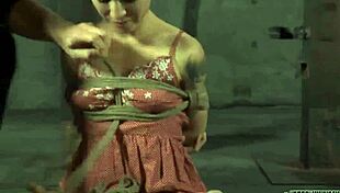 is this pornstar into sadomasochism?